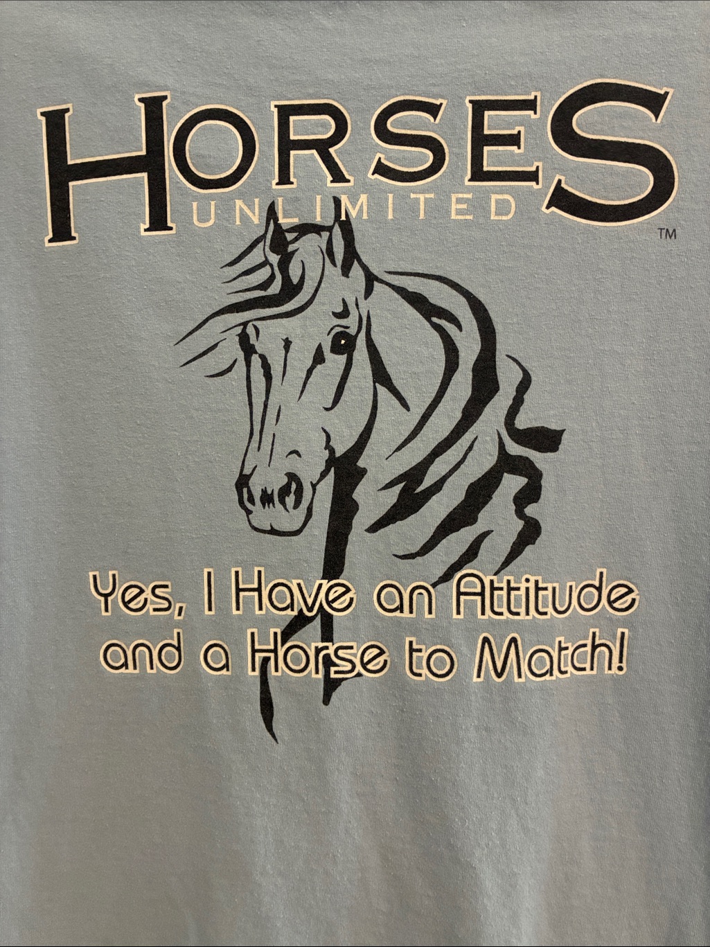 Horses Unlimited Graphic Tee - Light Blue With Black Print
